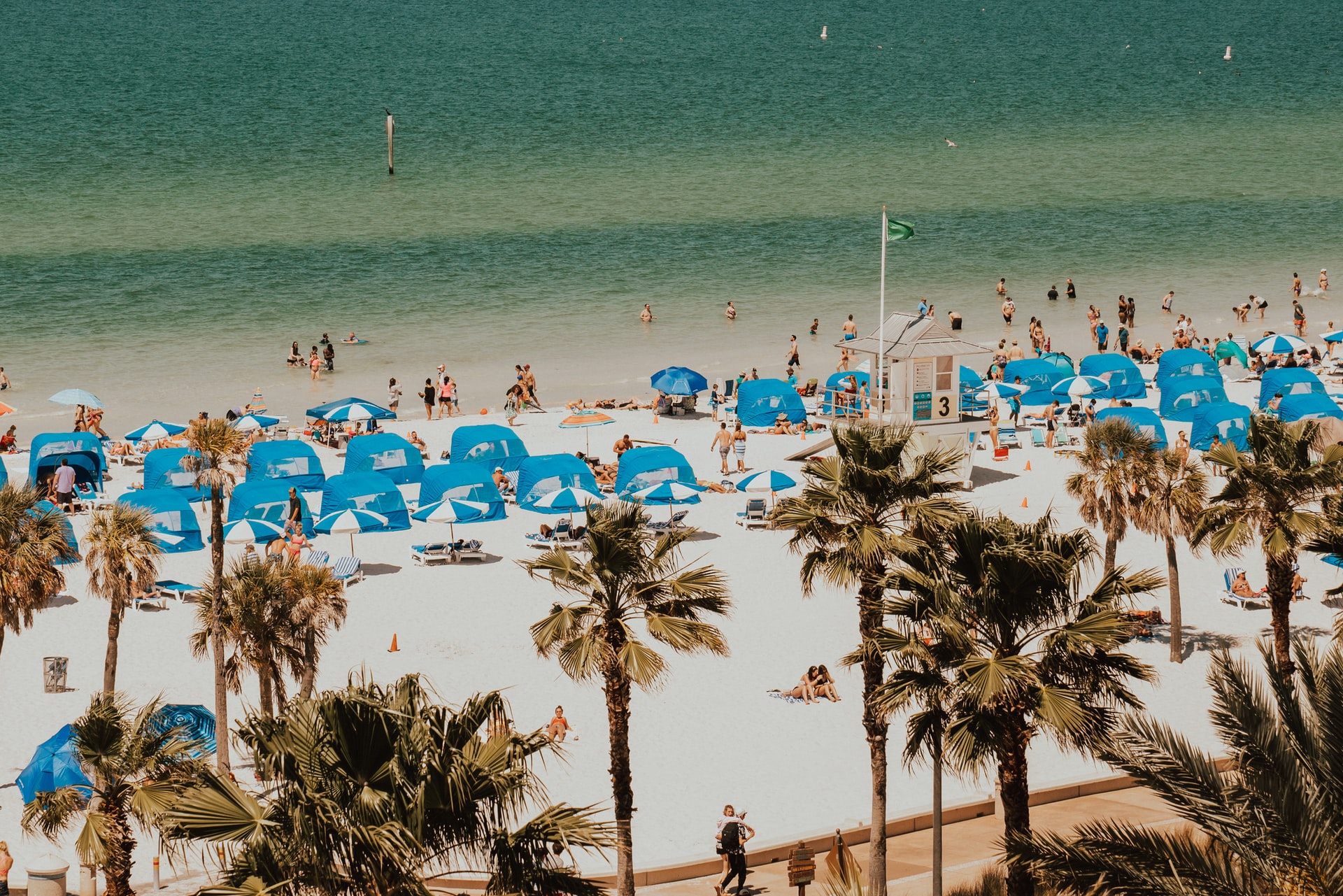 white sand beach with palm trees