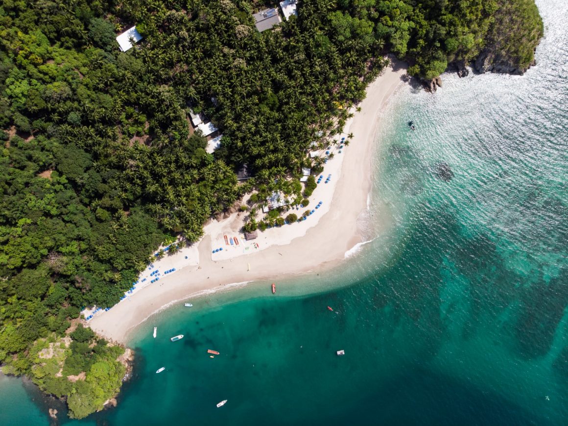 Tortuga island, La Isla Tortuga, Trees and beach, 