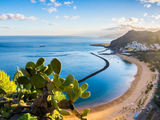 Sunny Coast in Canary Islands