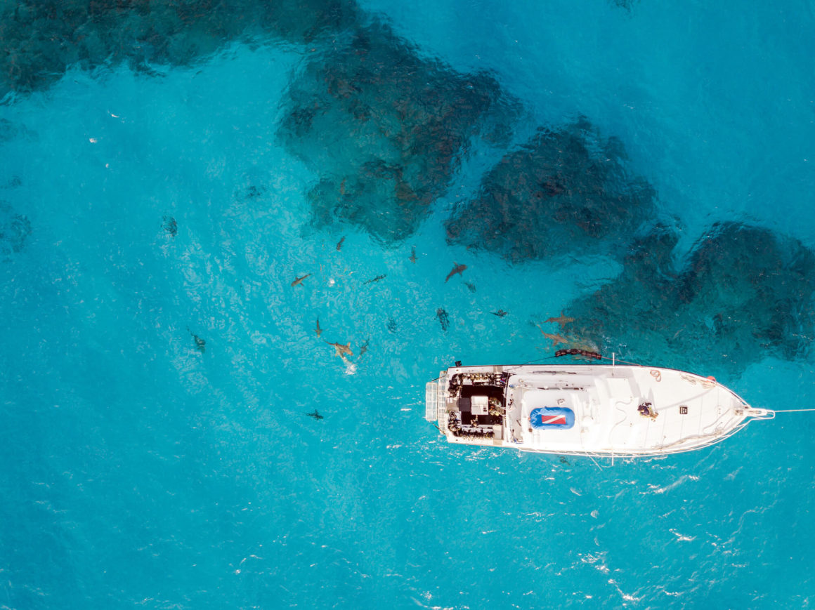 Aerial view of a boat in the Caribbean with sharks swimming
