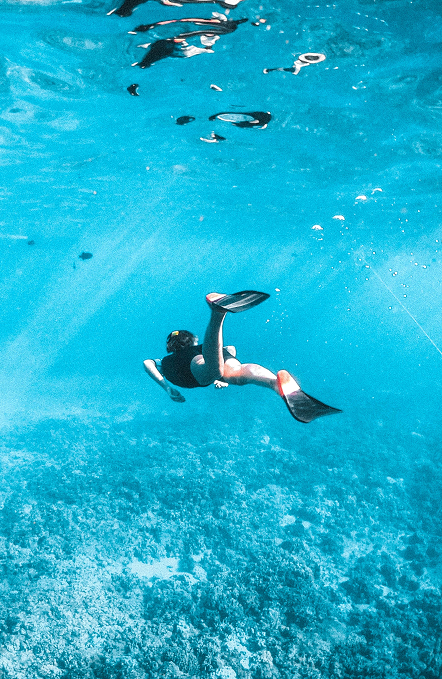 snorkeling, activité en bateau