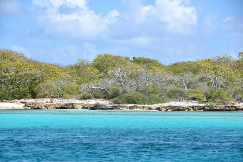 snorkeling a la Petite Terre en Guadeloupe