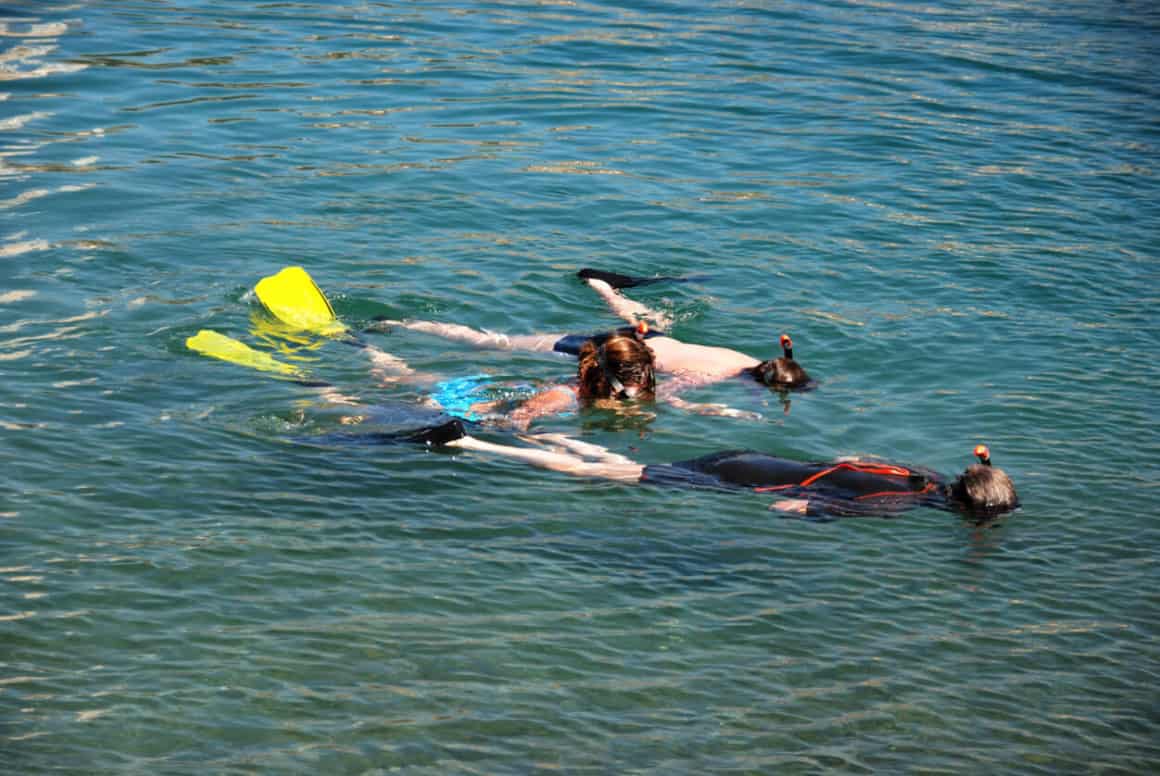 faire du snorkeling dans un beau spot en Guadeloupe