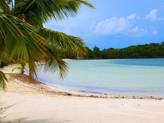 Explorer des paysages de cartes postales avec la location d'un bateau Guadeloupe.