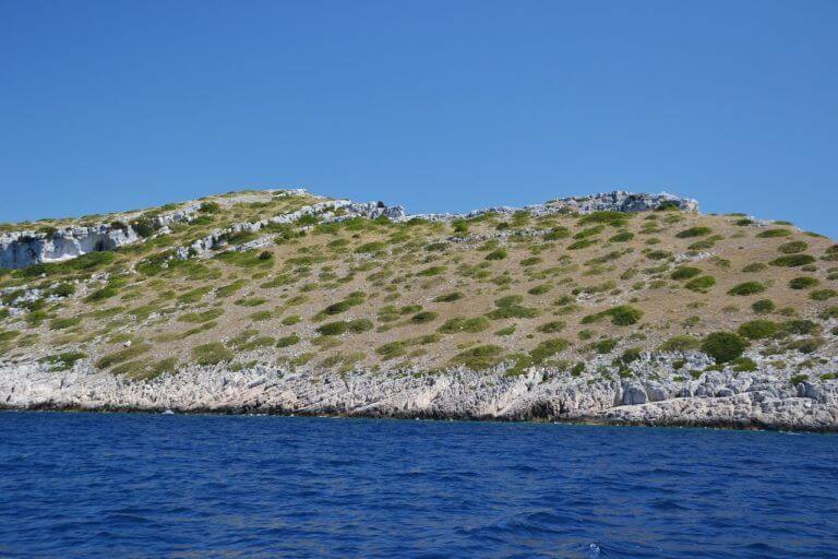 Zut-Iz-Zadar