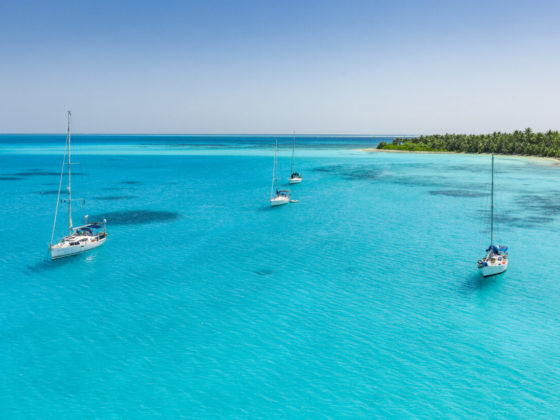 Voiliers au mouillage dans une eau turquoise près d’une île bordée de palmiers