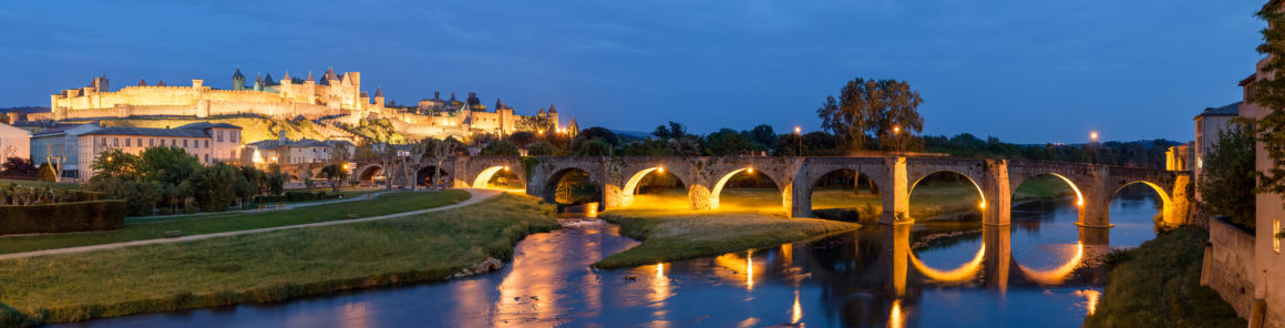 Cité médiévale de Carcassonne illuminée la nuit vue depuis le fleuve Aude.