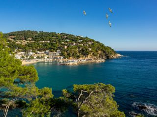Baie de la Costa Brava avec port et collines verdoyantes.