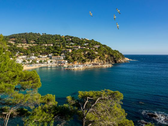 Baie de la Costa Brava avec port et collines verdoyantes.