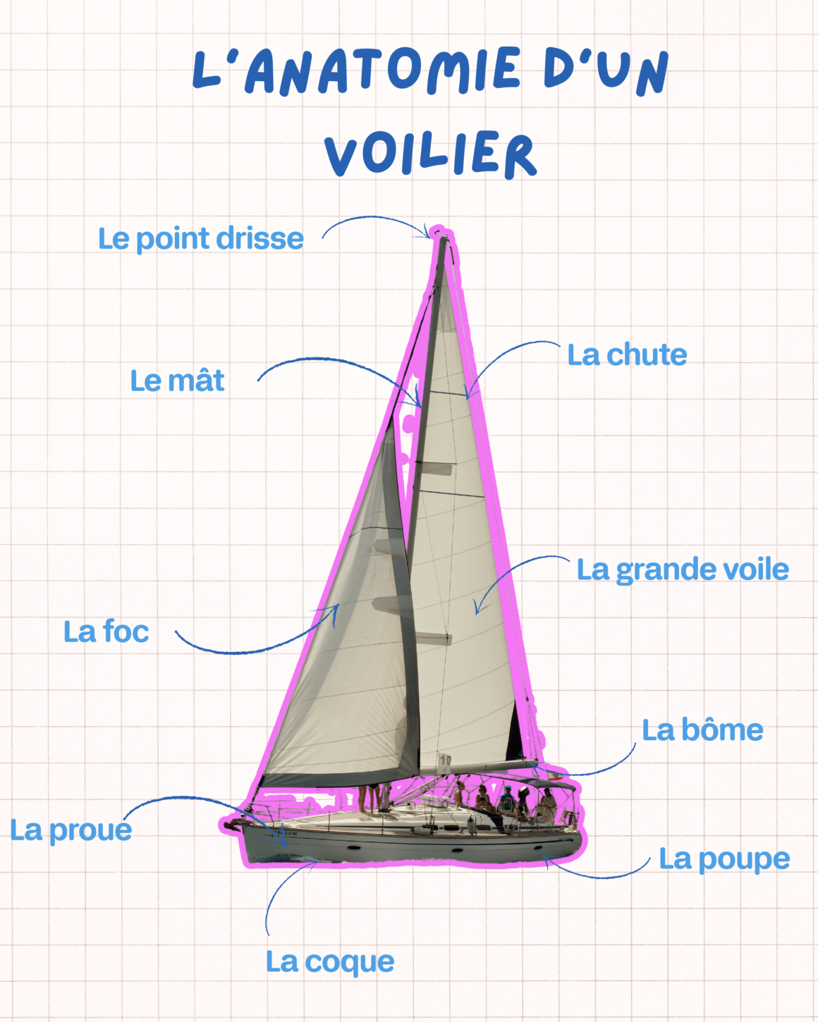 Infographie “L’anatomie d’un voilier” avec schéma annoté : mât, point de drisse, chute, grand-voile, foc, bôme, proue, poupe et coque.