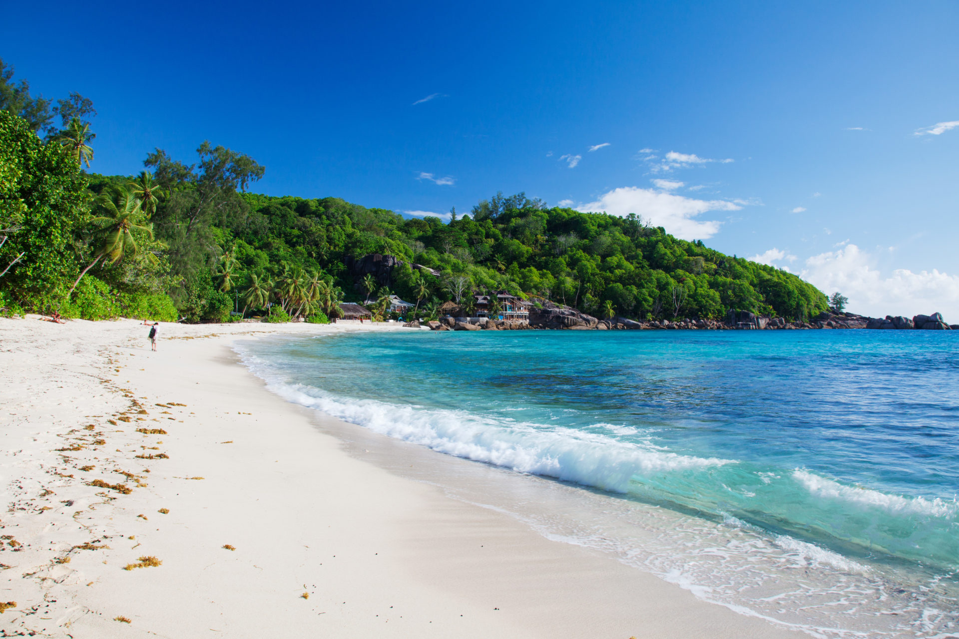 Plage de sable blanc aux Seychelles, bordée de palmiers et d’une eau turquoise.