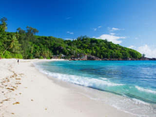 Plage de sable blanc aux Seychelles, bordée de palmiers et d’une eau turquoise.
