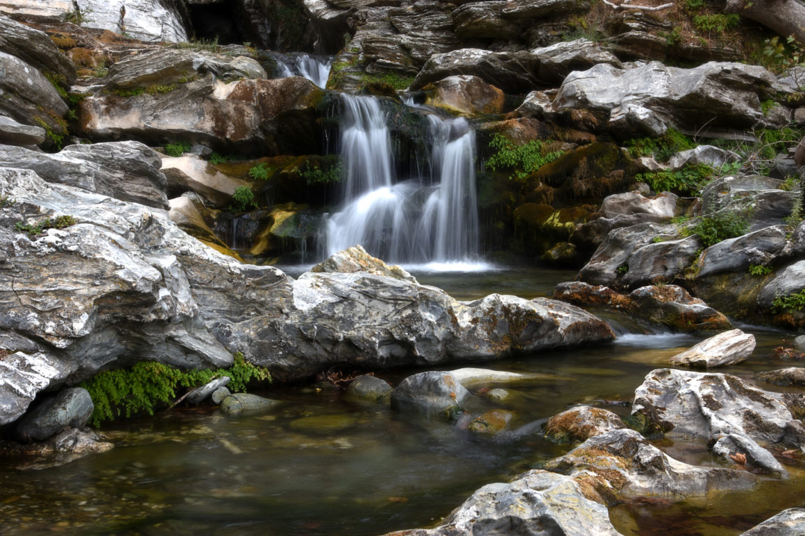 Petite cascade coulant sur des rochers dans une forêt luxuriante.